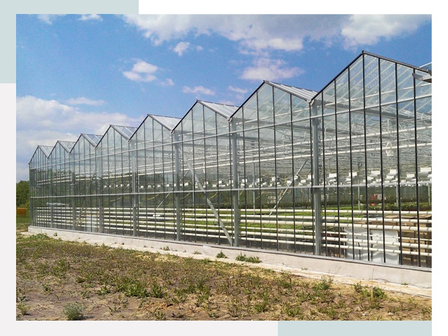 Строительство теплиц в Кизилюрт от 620 руб. за м²